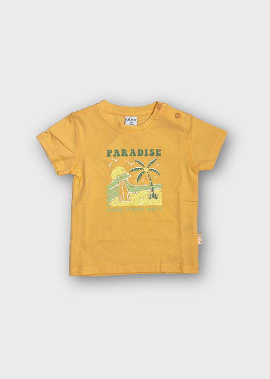 t-shirt neonato cotone m/corta