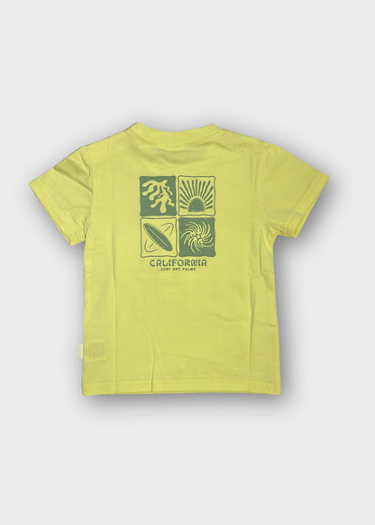 t-shirt neonato cotone m/corta